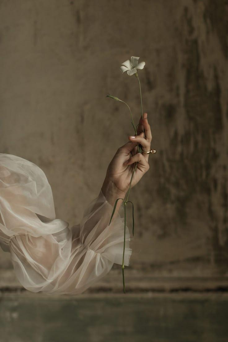 Secret Garden Revel: Vintage Petal Mosaic